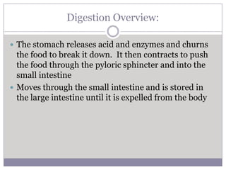 Digestion Overview:

 The stomach releases acid and enzymes and churns
  the food to break it down. It then contracts to push
  the food through the pyloric sphincter and into the
  small intestine
 Moves through the small intestine and is stored in
  the large intestine until it is expelled from the body
 