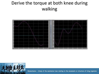 Derive the torque at both knee during
               walking
 