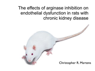 The effects of arginase inhibition on
 endothelial dysfunction in rats with
             chronic kidney disease




                     Christopher R. Martens
 