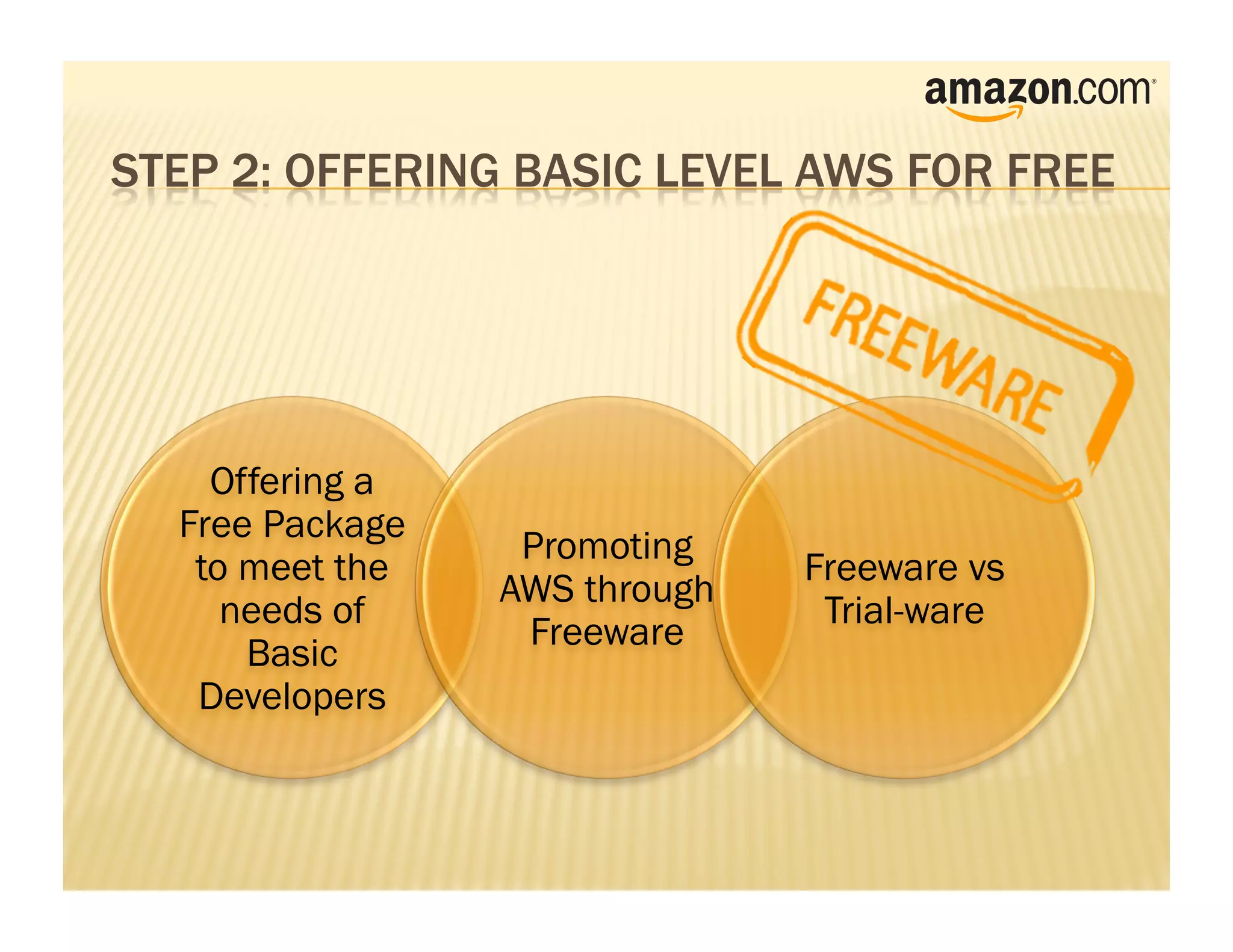 Offering a
Free Package
                Promoting
 to meet the                 Freeware vs
               AWS through
   needs of                   Trial-ware
                Freeware
    Basic
 Developers
 