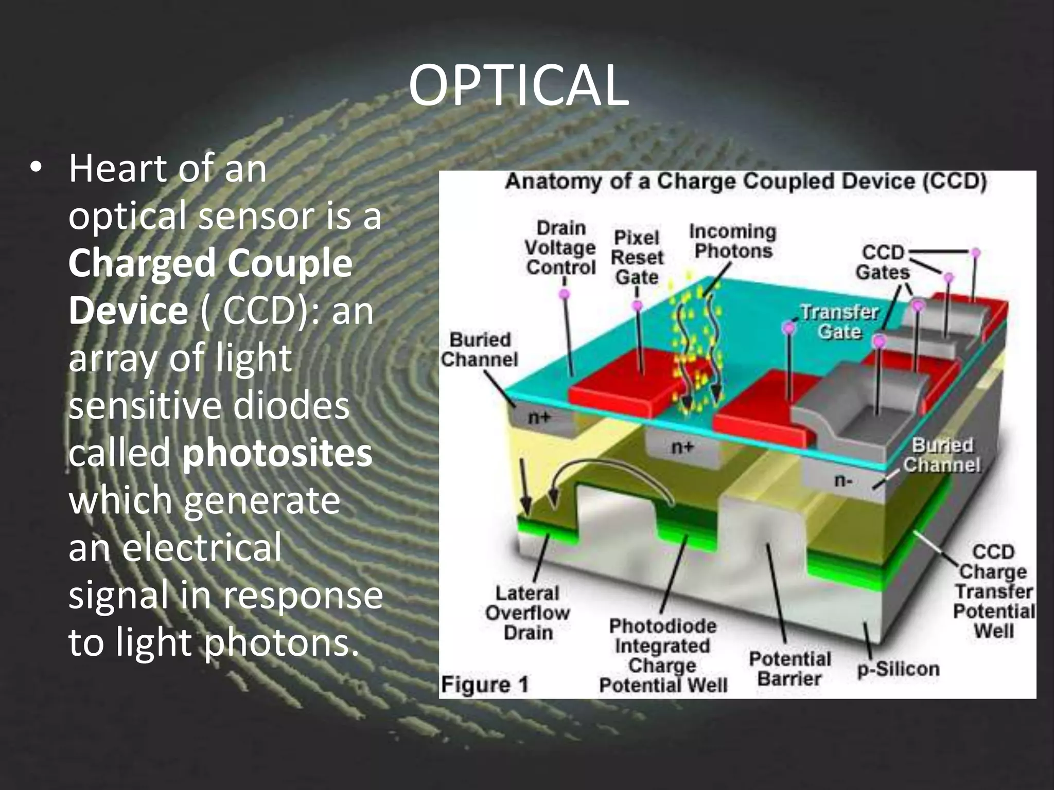 OPTICAL
• Heart of an
  optical sensor is a
  Charged Couple
  Device ( CCD): an
  array of light
  sensitive diodes
  called photosites
  which generate
  an electrical
  signal in response
  to light photons.
 