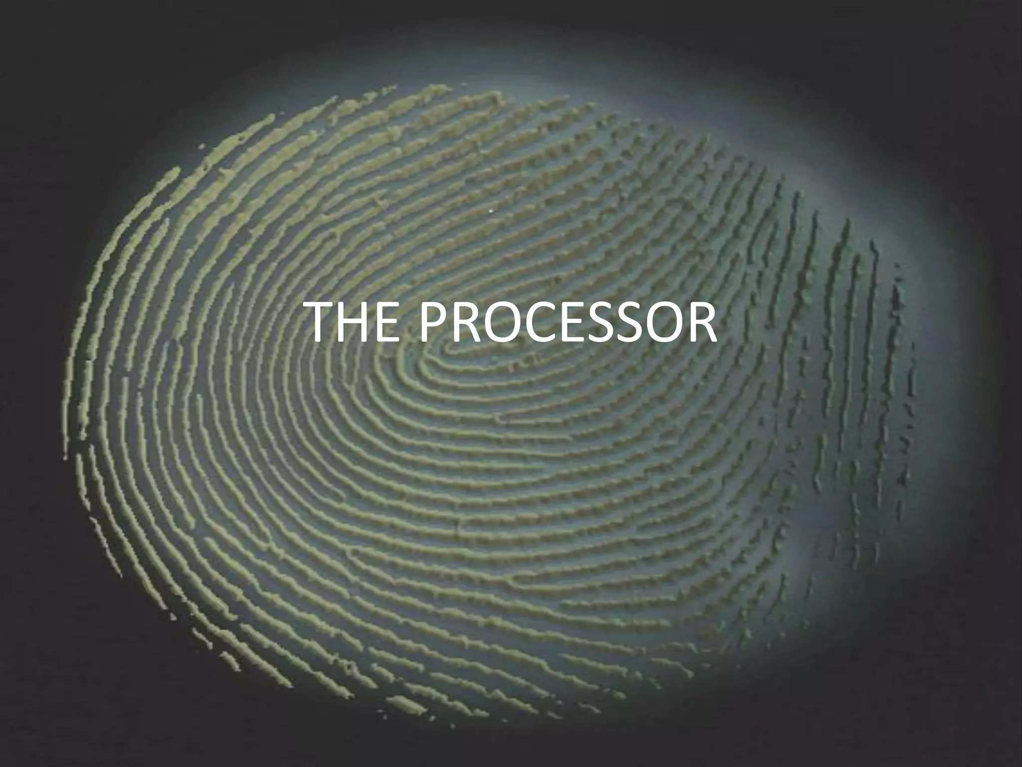 THE PROCESSOR
 