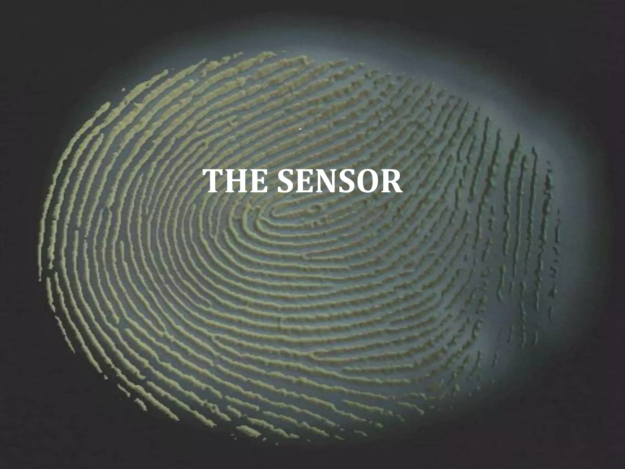 THE SENSOR
 