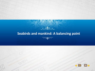 Seabirds and mankind
1.   The expansion of the tourist industry and the building resorts on islands and beaches
2.   Pollu...