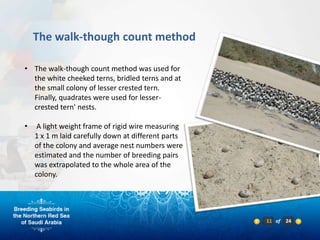 The walk-though count method

• The walk-though count method was used for
  the white cheeked terns, bridled terns and at
  the small colony of lesser crested tern.
  Finally, quadrates were used for lesser-
  crested tern' nests.

•    A light weight frame of rigid wire measuring
    1 x 1 m laid carefully down at different parts
    of the colony and average nest numbers were
    estimated and the number of breeding pairs
    was extrapolated to the whole area of the
    colony.




                                                     11 of   24
 