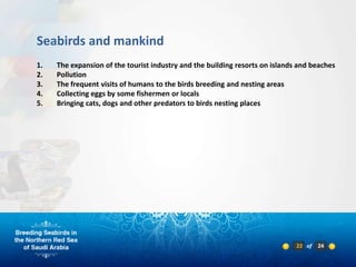 Seabirds and mankind
1.   The expansion of the tourist industry and the building resorts on islands and beaches
2.   Pollution
3.   The frequent visits of humans to the birds breeding and nesting areas
4.   Collecting eggs by some fishermen or locals
5.   Bringing cats, dogs and other predators to birds nesting places




                                                                              22 of   24
 