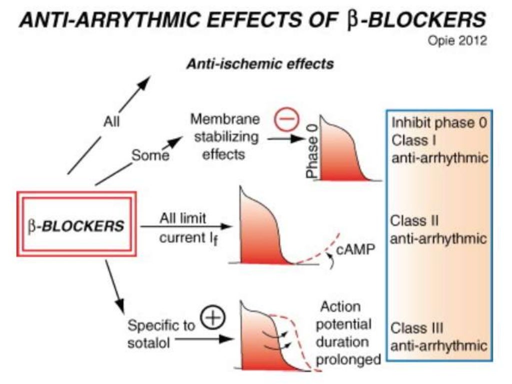 Betablockers in cardiovascular diseases