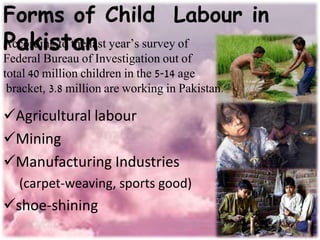 Agricultural labour
Mining
Manufacturing Industries
(carpet-weaving, sports good)
shoe-shining
According to the last year’s survey of
Federal Bureau of Investigation out of
total 40 million children in the 5-14 age
bracket, 3.8 million are working in Pakistan.
Forms of Child Labour in
Pakistan
 