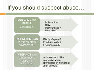 If you should suspect abuse… 
OBSERVE the 
animals’ 
conditions. 
PAY ATTENTION 
to the animals’ 
environment. 
INTERACT with 
the animal to 
observe 
behaviors. 
Is the animal 
filthy? 
Malnourished? 
Loss of fur? 
Plenty of space? 
Food and water? 
Overpopulated? 
Is the animal timid or 
aggressive when 
approached by humans or 
other animals? 
 
