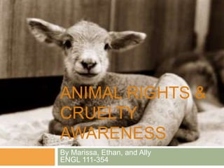 ANIMAL RIGHTS & 
CRUELTY 
AWARENESS 
By Marissa, Ethan, and Ally 
ENGL 111-354 
 