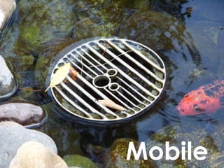 Disney's Hidden Demographic PPT