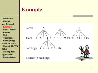 NESTED DESIGNS | PPT