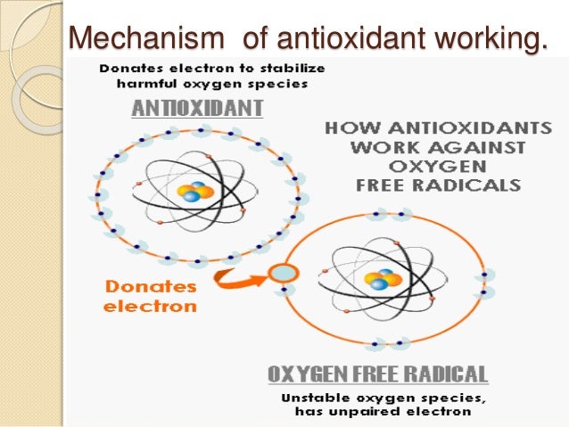 Defence mechanism of antioxidant in Human Body