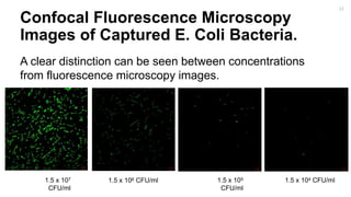 Confocal Fluorescence Microscopy
Images of Captured E. Coli Bacteria.
1.5 x 104 CFU/ml
A clear distinction can be seen between concentrations
from fluorescence microscopy images.
1.5 x 105
CFU/ml
1.5 x 106 CFU/ml1.5 x 107
CFU/ml
12
 