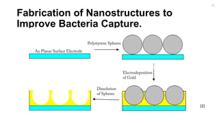 Fabrication of Nanostructures to
Improve Bacteria Capture.
[2]
22
 