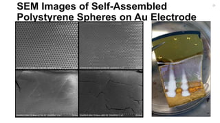 SEM Images of Self-Assembled
Polystyrene Spheres on Au Electrode
23
 