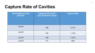 Capture Rate of Cavities
Concentration Level
(CFU/ml)
Captured Cell Count
( per 40,816um^2 Area)
Capture Rate
1.5x105
169 0.11%
1.5x104
176 1.17%
1.5x103 109 7.27%
1.5x102 117 78%
34
 