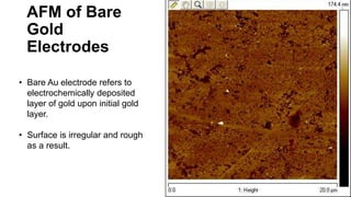 AFM of Bare
Gold
Electrodes
• Bare Au electrode refers to
electrochemically deposited
layer of gold upon initial gold
layer.
• Surface is irregular and rough
as a result.
5
 