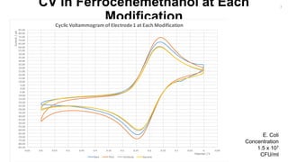 CV in Ferrocenemethanol at Each
Modification
-85.00
-80.00
-75.00
-70.00
-65.00
-60.00
-55.00
-50.00
-45.00
-40.00
-35.00
-30.00
-25.00
-20.00
-15.00
-10.00
-5.00
0.00
5.00
10.00
15.00
20.00
25.00
30.00
35.00
40.00
45.00
50.00
55.00
60.00
65.00
70.00
75.00
80.00
85.00
-0.0500.050.10.150.20.250.30.350.40.450.50.550.60.65
Current/µA
Potential / V
Cyclic Voltammogram of Electrode 1 at Each Modification
Bare Thiol Antibody Bacteria
E. Coli
Concentration
1.5 x 107
CFU/ml
7
 