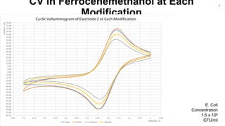 CV in Ferrocenemethanol at Each
Modification
-80.00
-75.00
-70.00
-65.00
-60.00
-55.00
-50.00
-45.00
-40.00
-35.00
-30.00
-25.00
-20.00
-15.00
-10.00
-5.00
0.00
5.00
10.00
15.00
20.00
25.00
30.00
35.00
40.00
45.00
50.00
55.00
60.00
65.00
70.00
75.00
80.00
-0.0500.050.10.150.20.250.30.350.40.450.50.550.60.65
Current/µA
Potential / V
Cyclic Voltammogram of Electrode 2 at Each Modification
Bare Thiol Antibody Bacteria
E. Coli
Concentration
1.5 x 106
CFU/ml
8
 