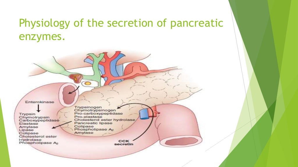 Pancreatic enzyme replacement therapy in pancreatic insufficiency