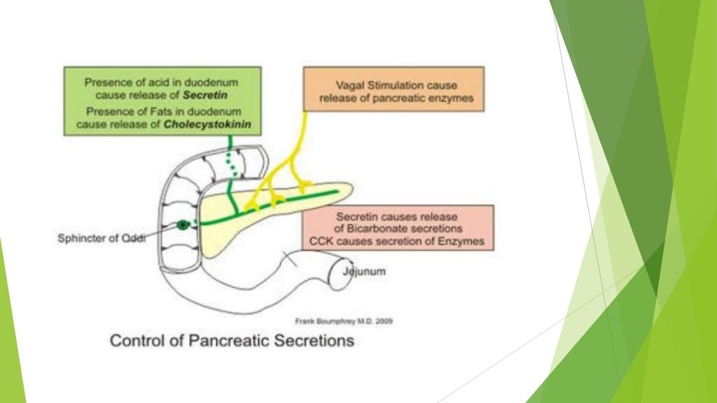 Pancreatic enzyme replacement therapy in pancreatic insufficiency