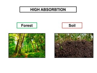 Forest Soil
HIGH ABSORBTION
 