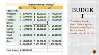 The chart breaks
down the campaign
budget quarterly and
between each
marketing platform
 