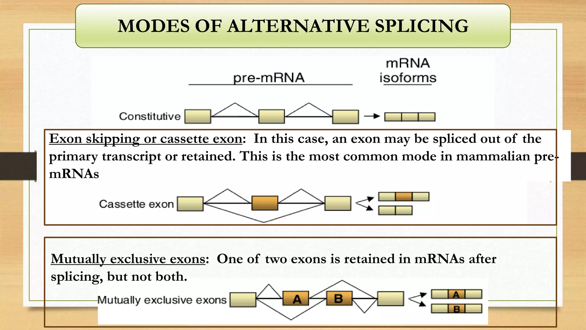 MODES OF ALTERNATIVE SPLICING
Exon skipping or cassette exon: In this case, an exon may be spliced out of the
primary transcript or retained. This is the most common mode in mammalian pre-
mRNAs
Mutually exclusive exons: One of two exons is retained in mRNAs after
splicing, but not both.
 