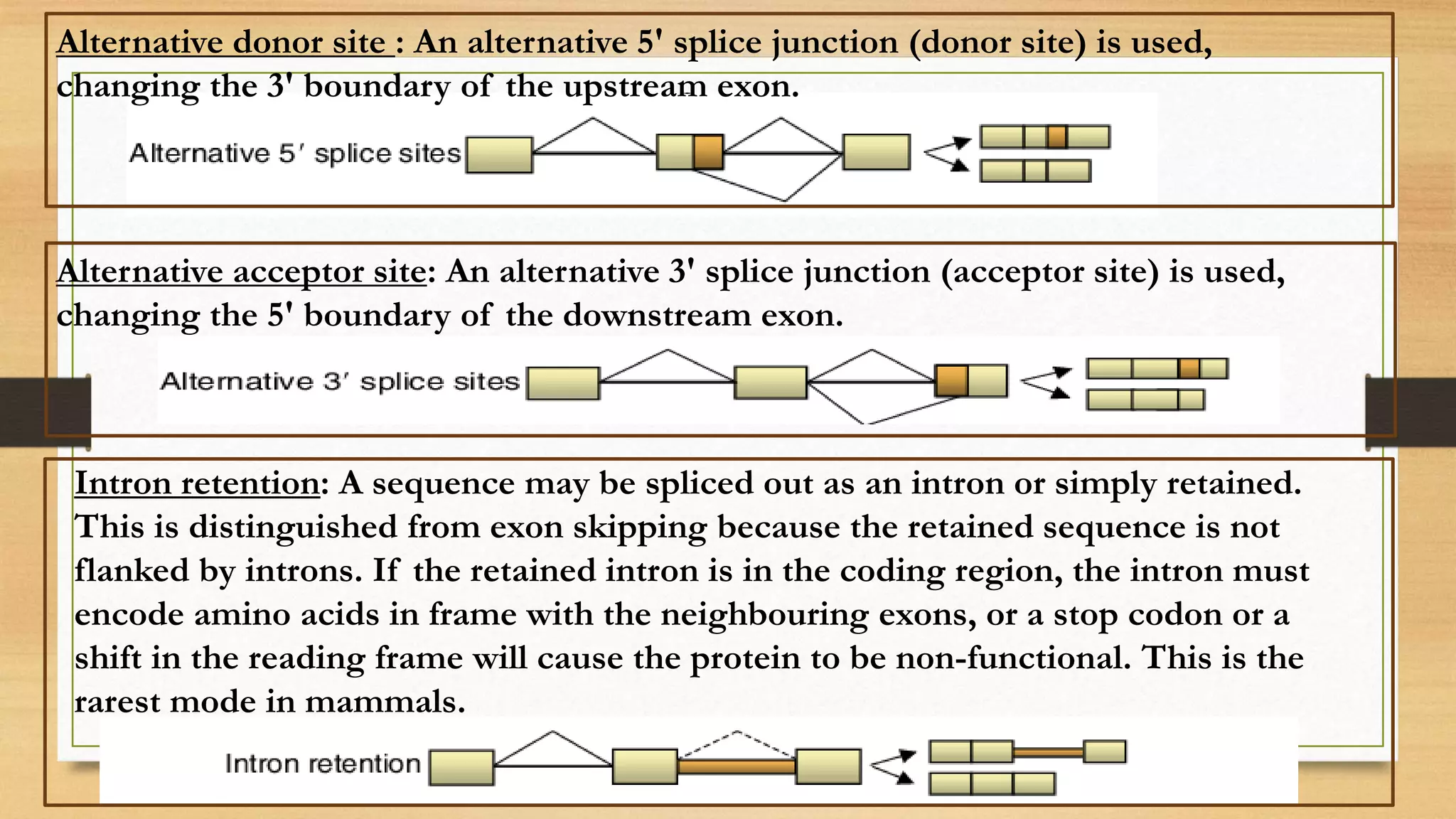 Alternative donor site : An alternative 5' splice junction (donor site) is used,
changing the 3' boundary of the upstream exon.
Alternative acceptor site: An alternative 3' splice junction (acceptor site) is used,
changing the 5' boundary of the downstream exon.
Intron retention: A sequence may be spliced out as an intron or simply retained.
This is distinguished from exon skipping because the retained sequence is not
flanked by introns. If the retained intron is in the coding region, the intron must
encode amino acids in frame with the neighbouring exons, or a stop codon or a
shift in the reading frame will cause the protein to be non-functional. This is the
rarest mode in mammals.
 