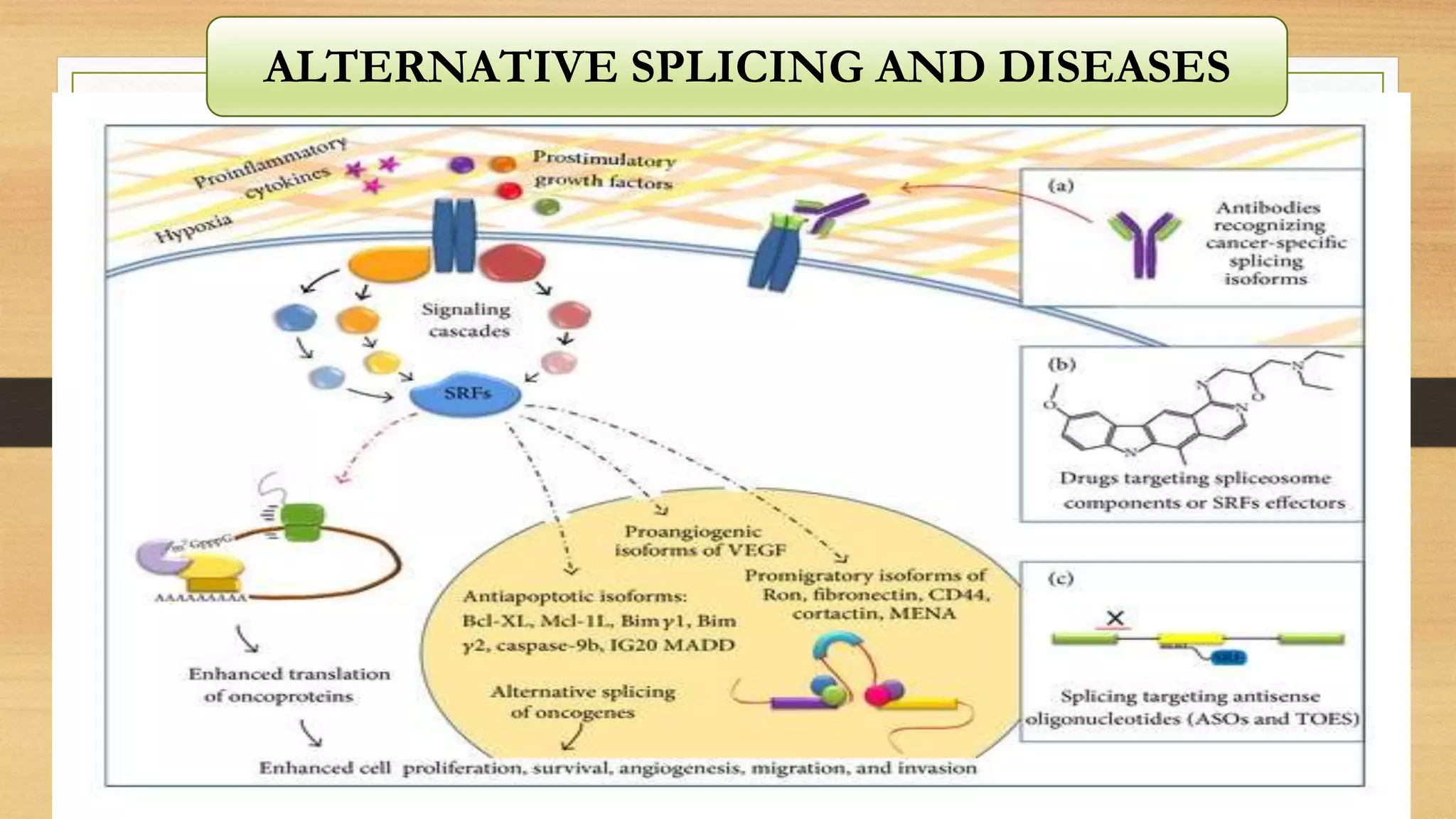 ALTERNATIVE SPLICING AND DISEASES
 