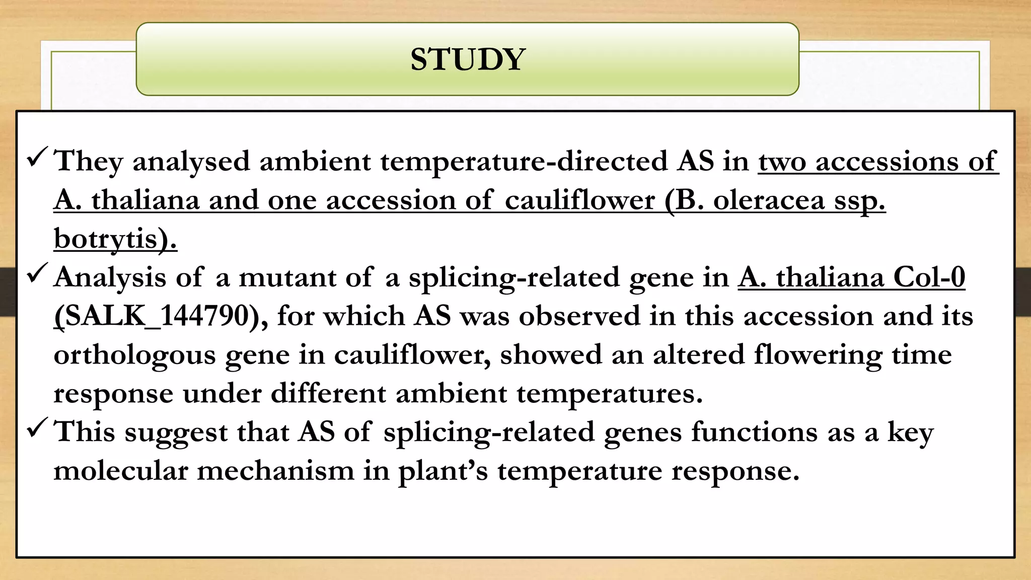 STUDY
They analysed ambient temperature-directed AS in two accessions of
A. thaliana and one accession of cauliflower (B. oleracea ssp.
botrytis).
Analysis of a mutant of a splicing-related gene in A. thaliana Col-0
(SALK_144790), for which AS was observed in this accession and its
orthologous gene in cauliflower, showed an altered flowering time
response under different ambient temperatures.
This suggest that AS of splicing-related genes functions as a key
molecular mechanism in plant’s temperature response.
 