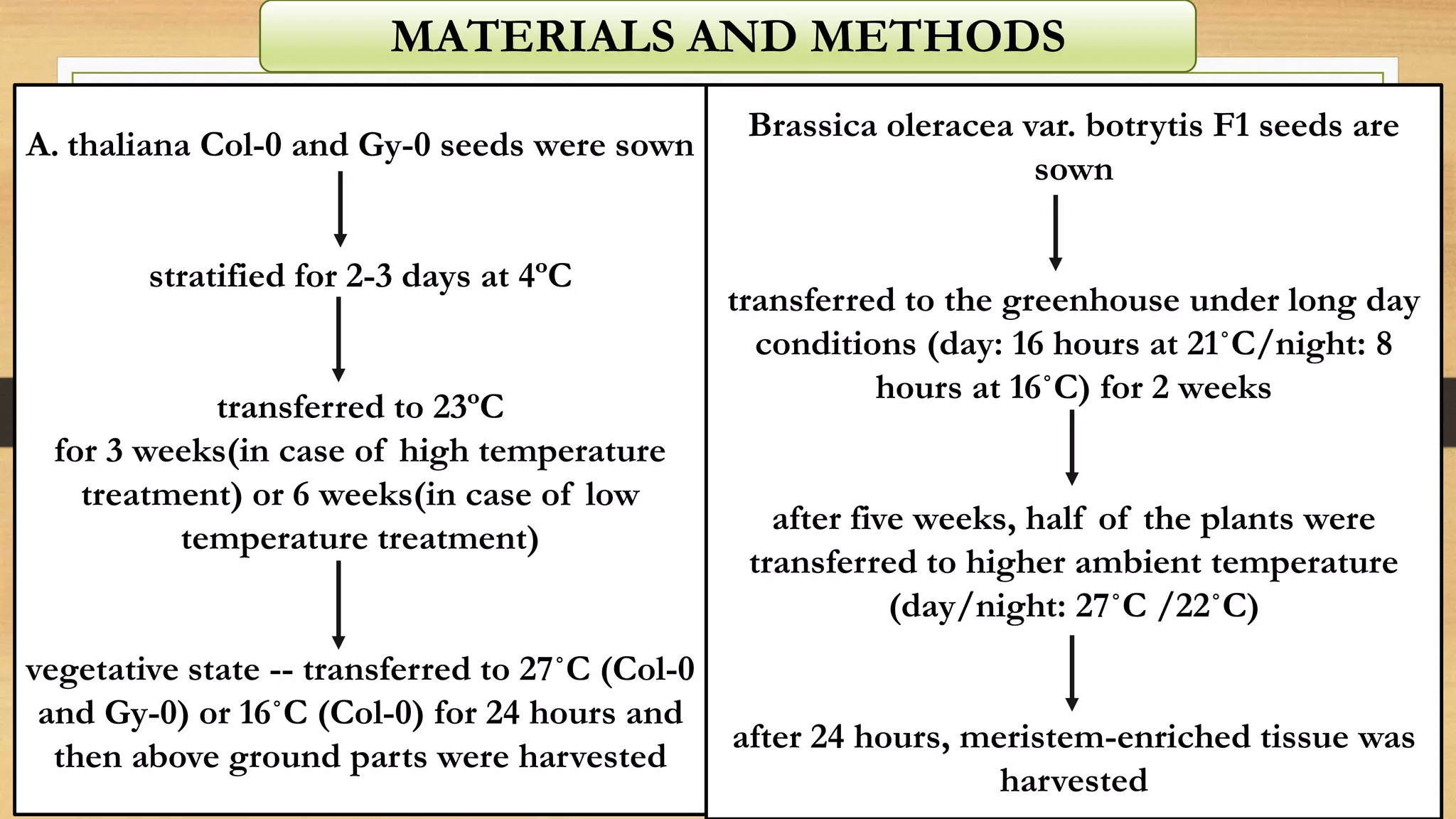 MATERIALS AND METHODS
A. thaliana Col-0 and Gy-0 seeds were sown
stratified for 2-3 days at 4ºC
transferred to 23ºC
for 3 weeks(in case of high temperature
treatment) or 6 weeks(in case of low
temperature treatment)
vegetative state -- transferred to 27˚C (Col-0
and Gy-0) or 16˚C (Col-0) for 24 hours and
then above ground parts were harvested
Brassica oleracea var. botrytis F1 seeds are
sown
transferred to the greenhouse under long day
conditions (day: 16 hours at 21˚C/night: 8
hours at 16˚C) for 2 weeks
after five weeks, half of the plants were
transferred to higher ambient temperature
(day/night: 27˚C /22˚C)
after 24 hours, meristem-enriched tissue was
harvested
 