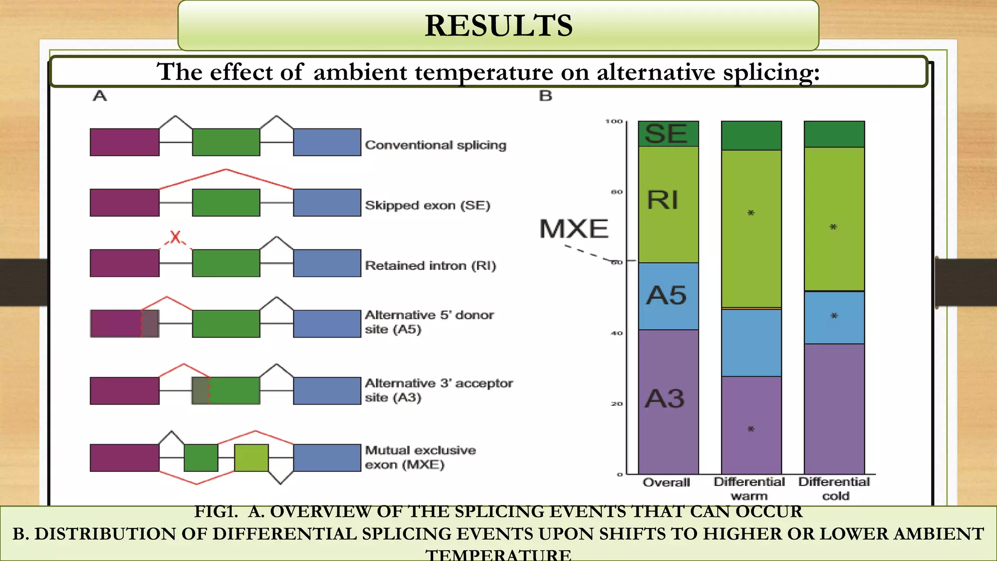 RESULTS
The effect of ambient temperature on alternative splicing:
FIG1. A. OVERVIEW OF THE SPLICING EVENTS THAT CAN OCCUR
B. DISTRIBUTION OF DIFFERENTIAL SPLICING EVENTS UPON SHIFTS TO HIGHER OR LOWER AMBIENT
 