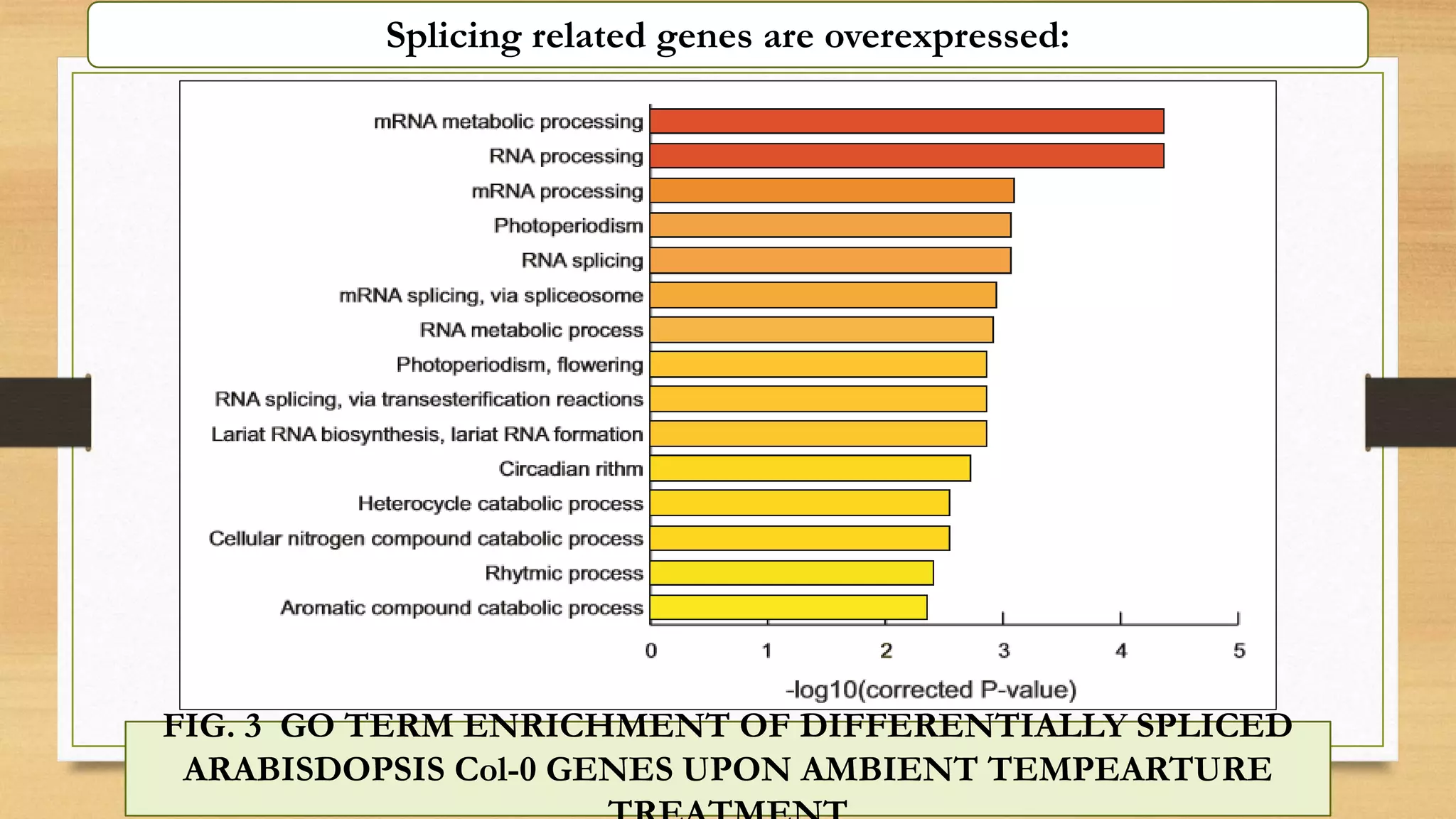Splicing related genes are overexpressed:
FIG. 3 GO TERM ENRICHMENT OF DIFFERENTIALLY SPLICED
ARABISDOPSIS Col-0 GENES UPON AMBIENT TEMPEARTURE
 
