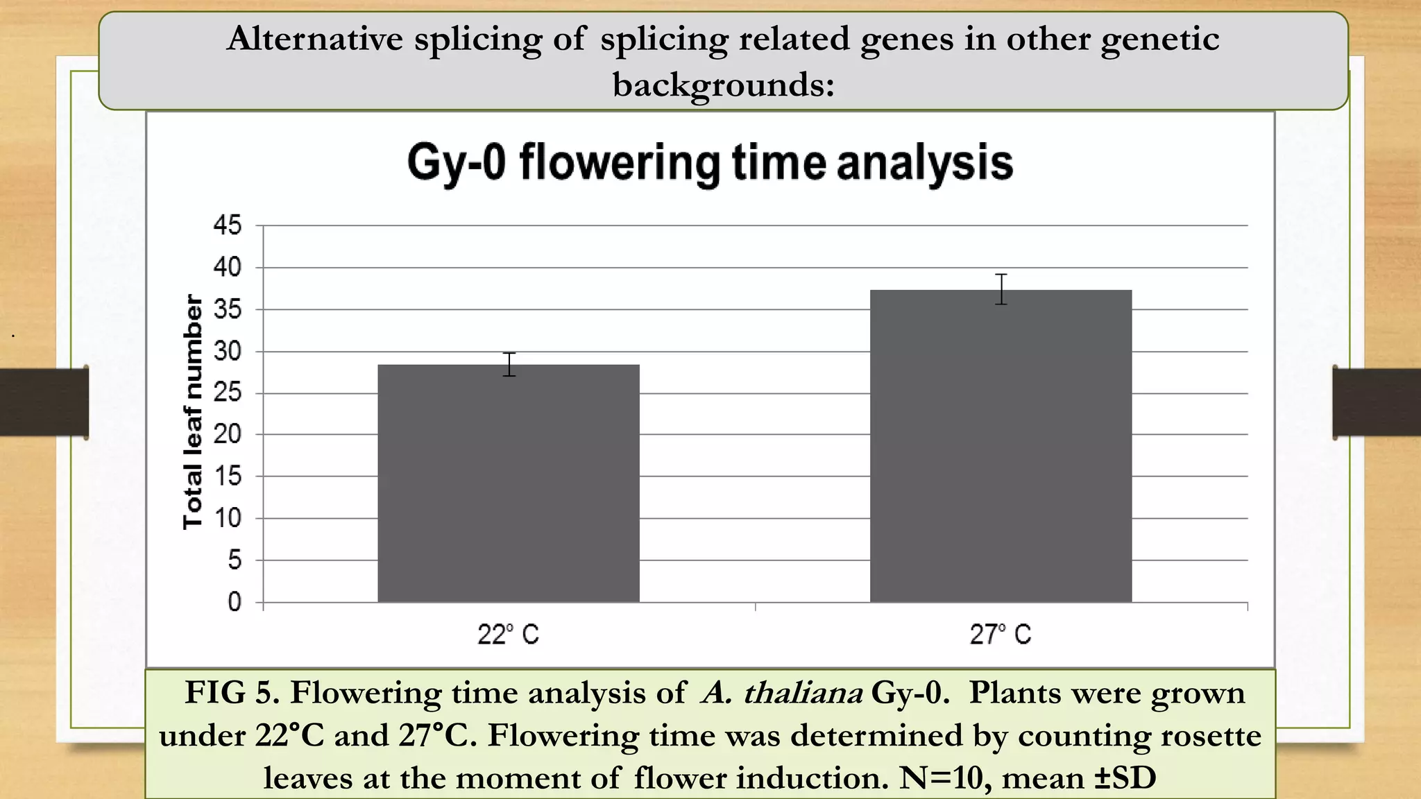 .
FIG 5. Flowering time analysis of A. thaliana Gy-0. Plants were grown
under 22°C and 27°C. Flowering time was determined by counting rosette
leaves at the moment of flower induction. N=10, mean ±SD
Alternative splicing of splicing related genes in other genetic
backgrounds:
 