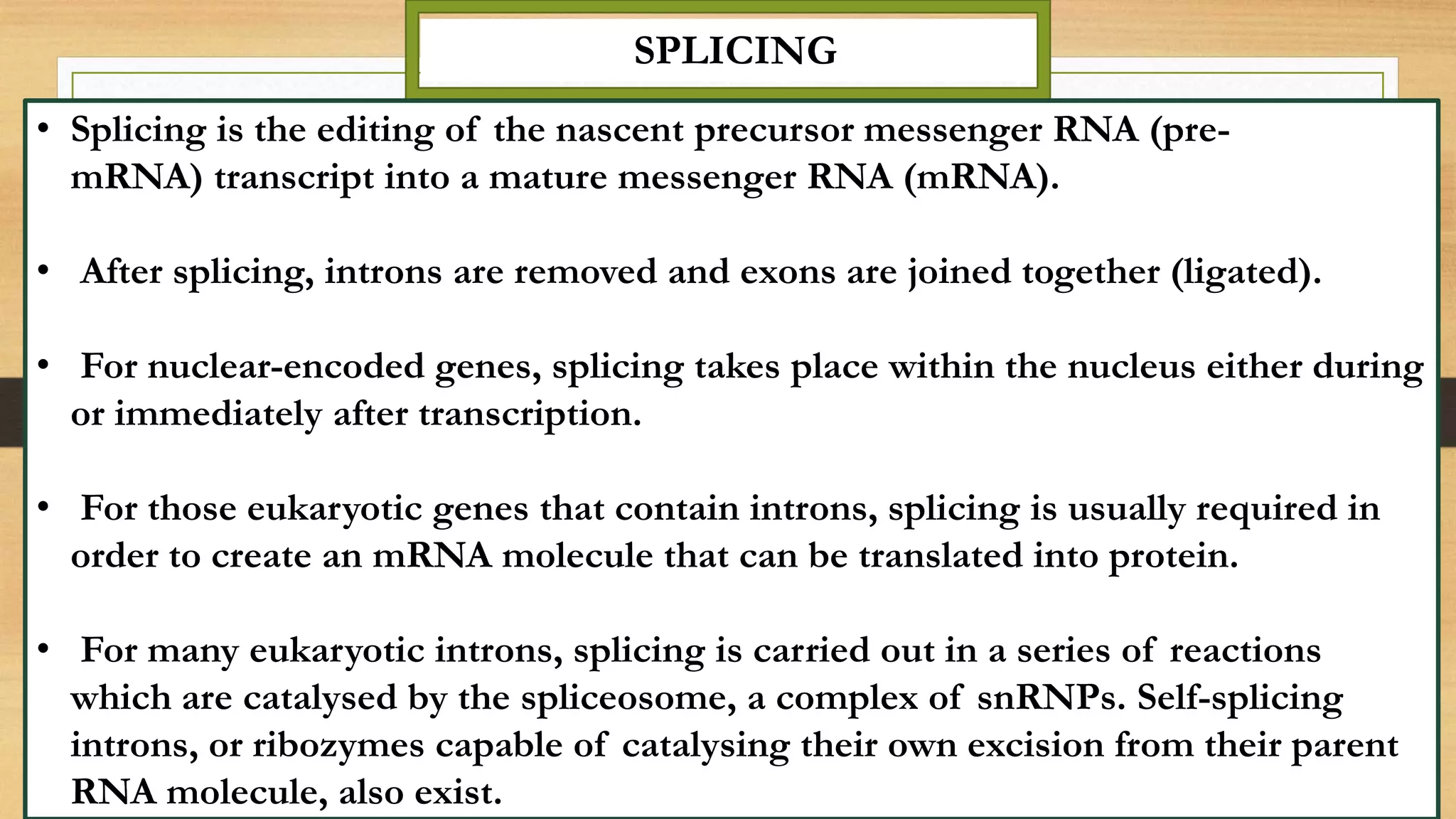 SPLICING
• Splicing is the editing of the nascent precursor messenger RNA (pre-
mRNA) transcript into a mature messenger RNA (mRNA).
• After splicing, introns are removed and exons are joined together (ligated).
• For nuclear-encoded genes, splicing takes place within the nucleus either during
or immediately after transcription.
• For those eukaryotic genes that contain introns, splicing is usually required in
order to create an mRNA molecule that can be translated into protein.
• For many eukaryotic introns, splicing is carried out in a series of reactions
which are catalysed by the spliceosome, a complex of snRNPs. Self-splicing
introns, or ribozymes capable of catalysing their own excision from their parent
RNA molecule, also exist.
 
