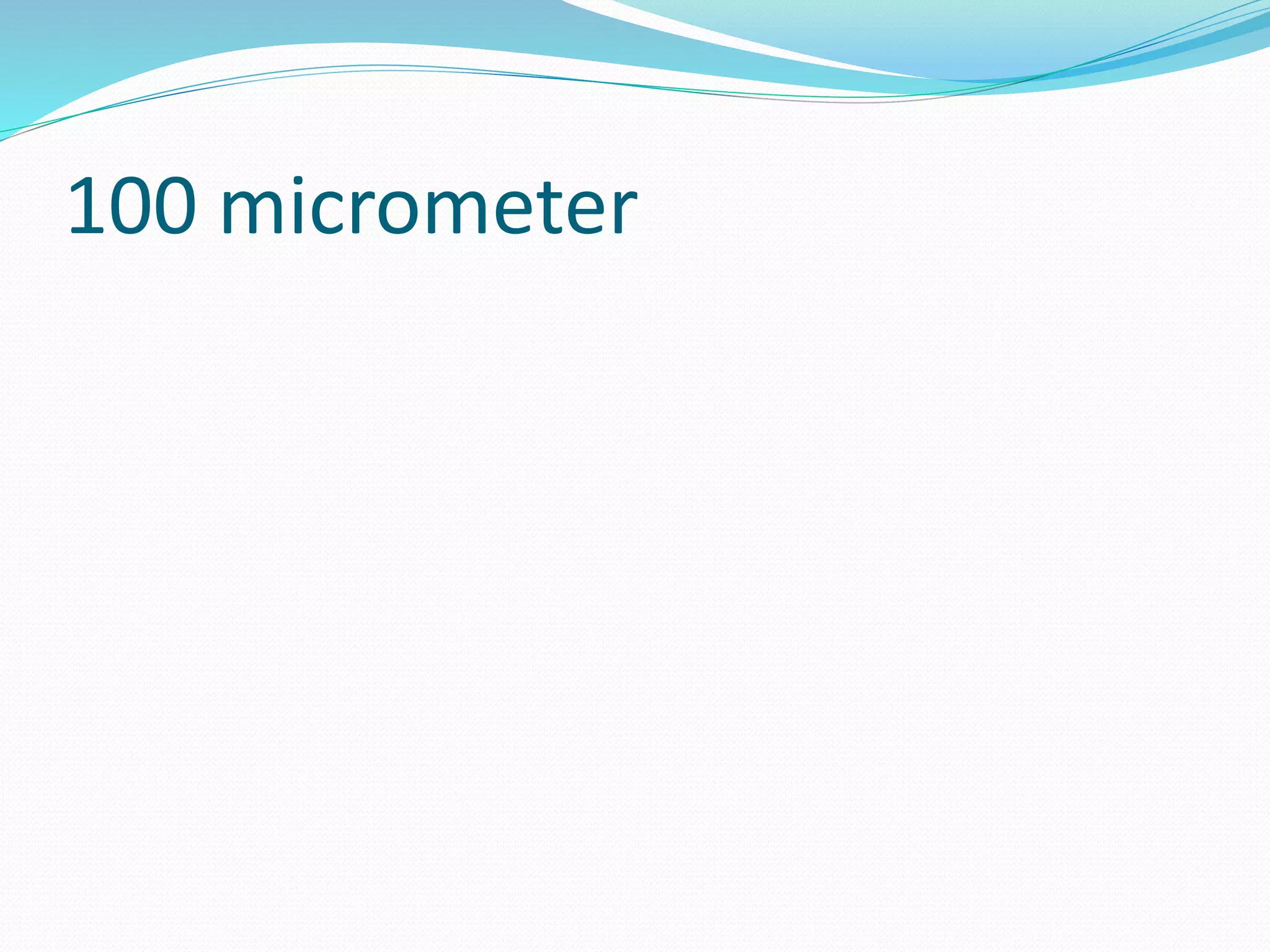100 micrometer
 