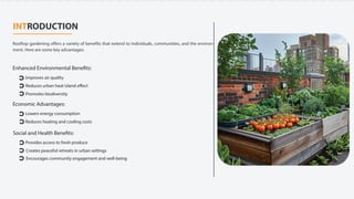 Rooftop Garden Services in Pakistan | Urban Gardening | PDF