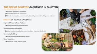Rooftop Garden Services in Pakistan | Urban Gardening | PDF