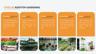 Rooftop Garden Services in Pakistan | Urban Gardening | PDF