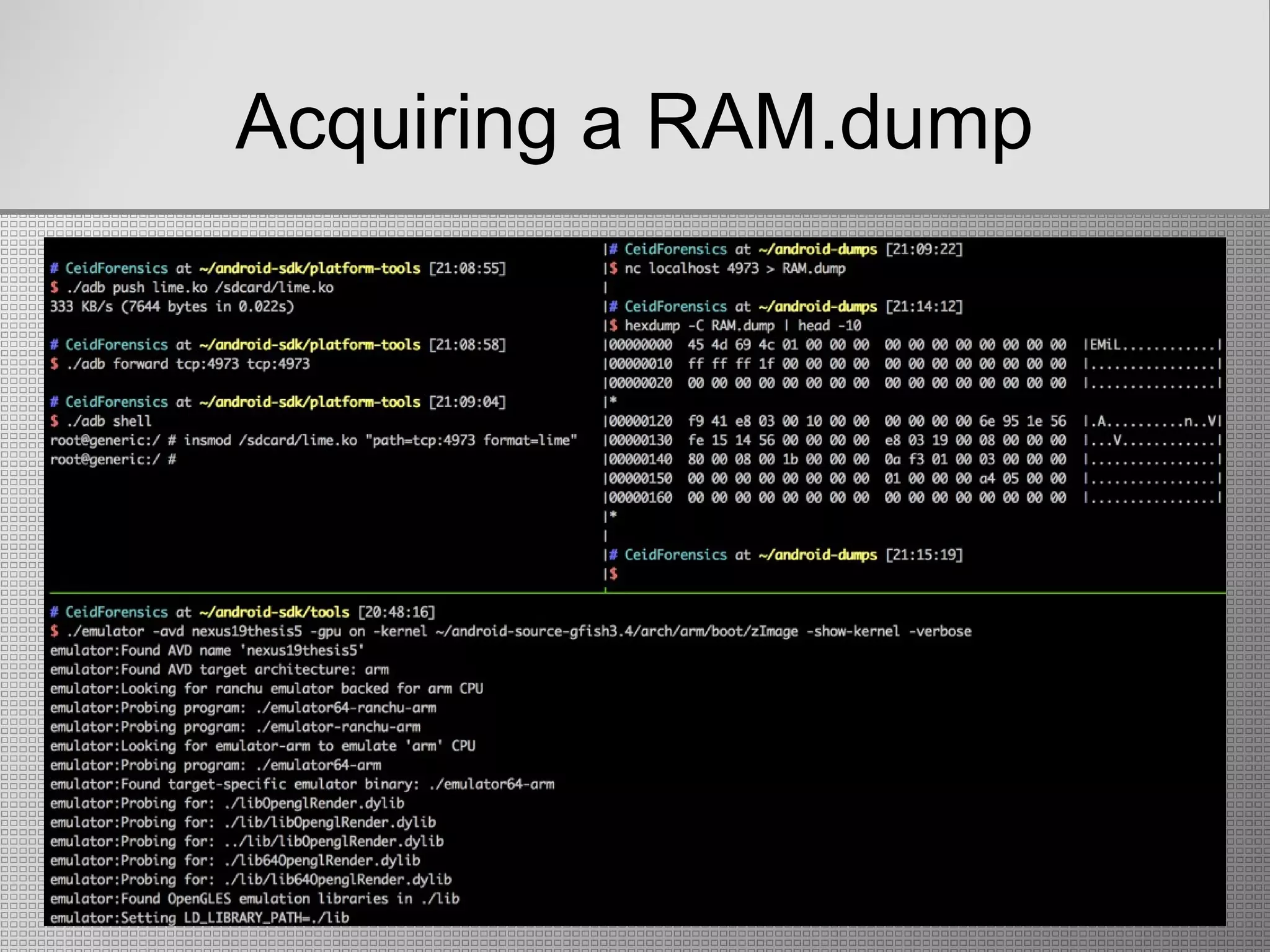 Acquiring a RAM.dump
 