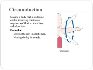Range of motion lecture for nurses .pptx