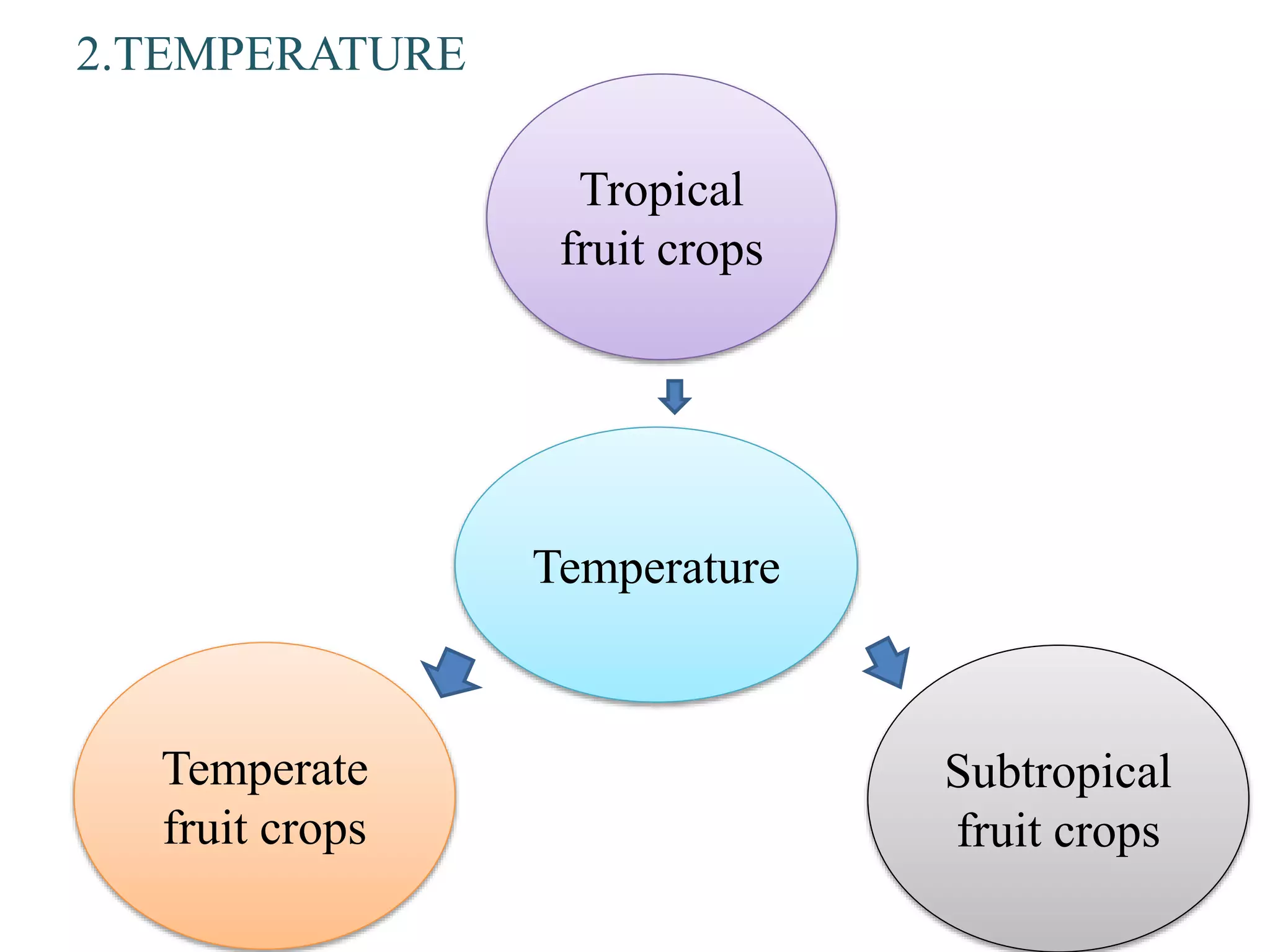 2.TEMPERATURE
Temperature
Temperate
fruit crops
Subtropical
fruit crops
Tropical
fruit crops
 