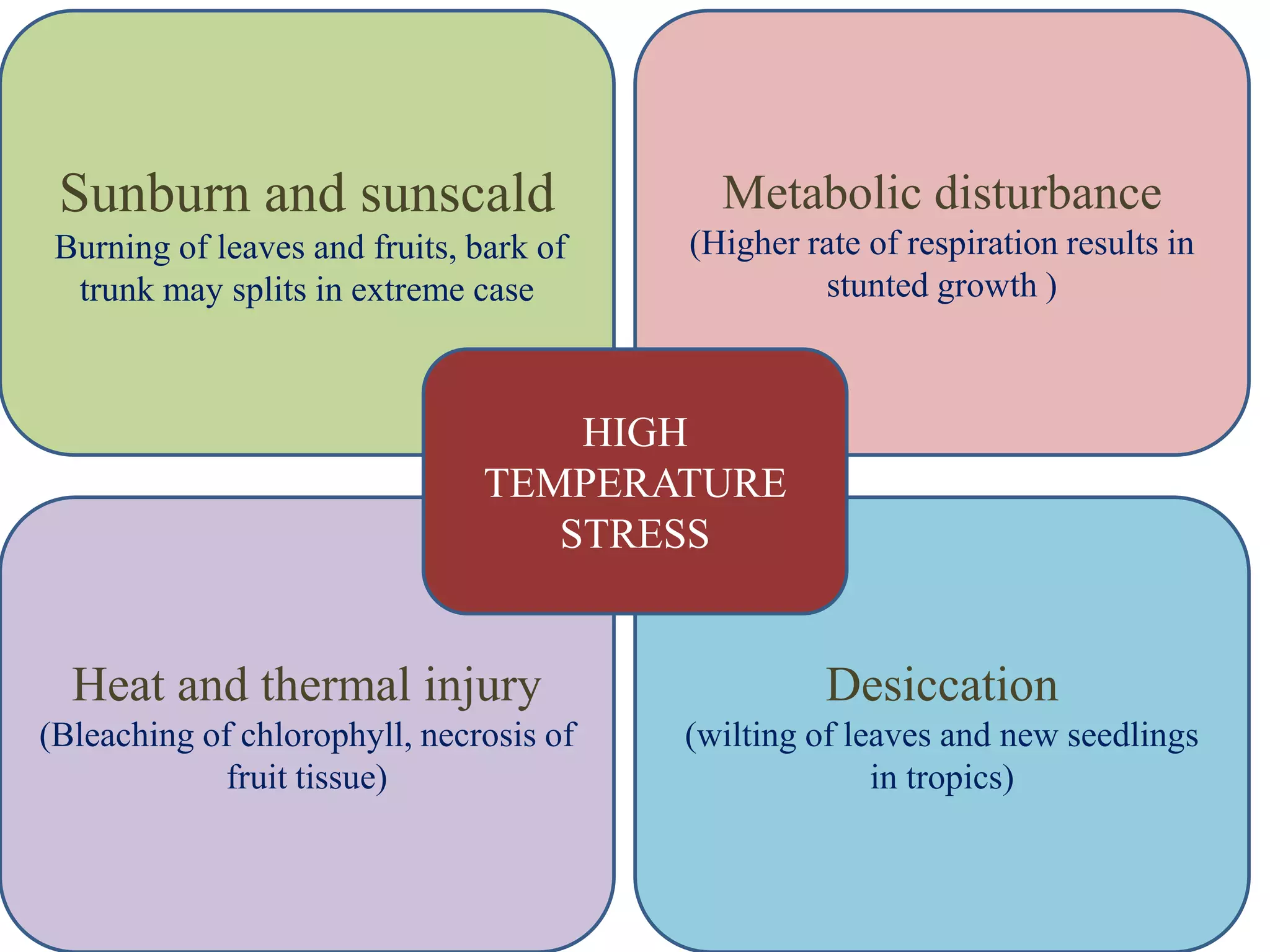 Sunburn and sunscald
Burning of leaves and fruits, bark of
trunk may splits in extreme case
Metabolic disturbance
(Higher rate of respiration results in
stunted growth )
Heat and thermal injury
(Bleaching of chlorophyll, necrosis of
fruit tissue)
Desiccation
(wilting of leaves and new seedlings
in tropics)
HIGH
TEMPERATURE
STRESS
 