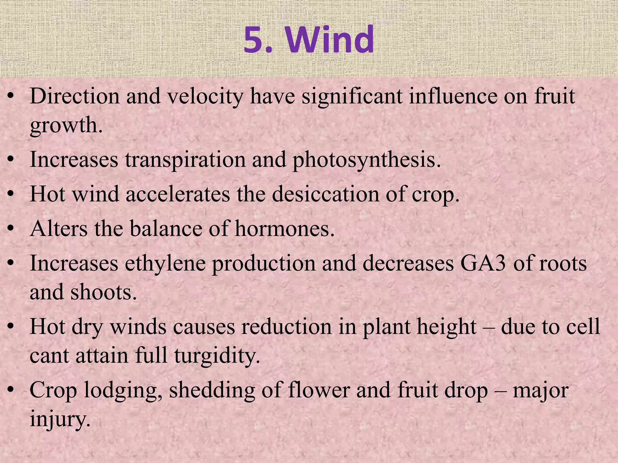 5. Wind
• Direction and velocity have significant influence on fruit
growth.
• Increases transpiration and photosynthesis.
• Hot wind accelerates the desiccation of crop.
• Alters the balance of hormones.
• Increases ethylene production and decreases GA3 of roots
and shoots.
• Hot dry winds causes reduction in plant height – due to cell
cant attain full turgidity.
• Crop lodging, shedding of flower and fruit drop – major
injury.
 