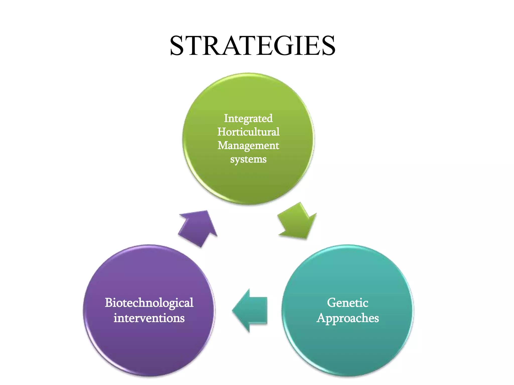 STRATEGIES
Integrated
Horticultural
Management
systems
Genetic
Approaches
Biotechnological
interventions
 