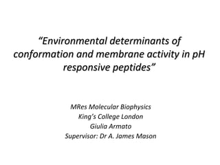 “Environmental determinants of
conformation and membrane activity in pH
responsive peptides”

MRes Molecular Biophysics
King’s College London
Giulia Armato
Supervisor: Dr A. James Mason

 