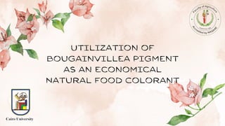 Utilization of
Bougainvillea Pigment
as an Economical
Natural Food Colorant
 