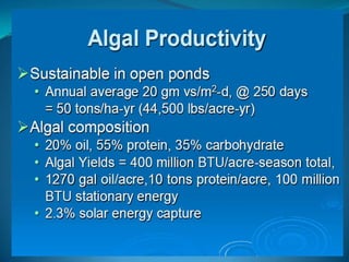 What algae needs for growth and productivity of biomass?<br />A little bit of everything…<br />• Sunlight<br />•Temperatur...